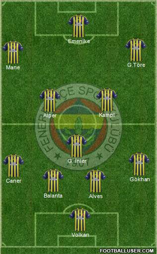 Fenerbahçe SK Formation 2014