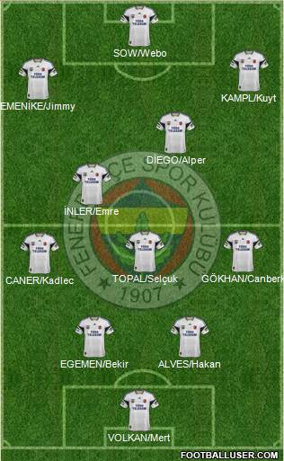 Fenerbahçe SK Formation 2014