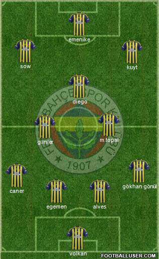 Fenerbahçe SK Formation 2014