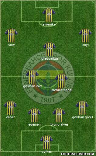 Fenerbahçe SK Formation 2014