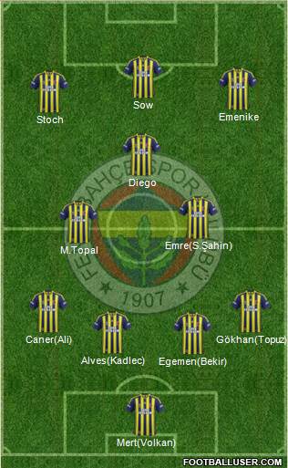 Fenerbahçe SK Formation 2014