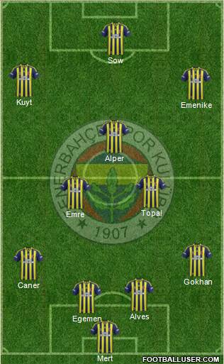 Fenerbahçe SK Formation 2014