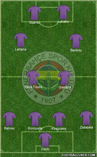 Fenerbahçe SK Formation 2014