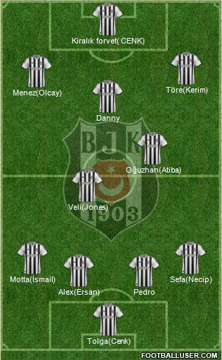 Besiktas JK Formation 2014