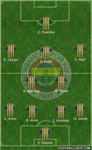 Fenerbahçe SK Formation 2014