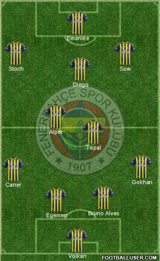 Fenerbahçe SK Formation 2014