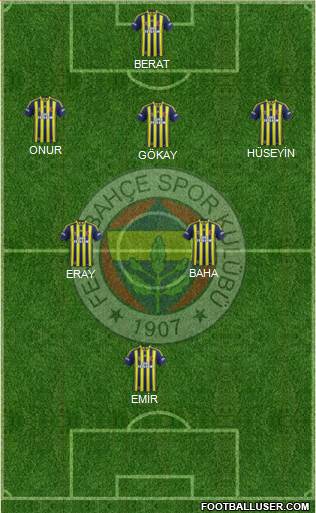 Fenerbahçe SK Formation 2014