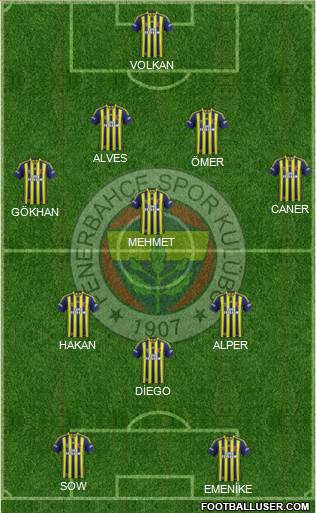 Fenerbahçe SK Formation 2014