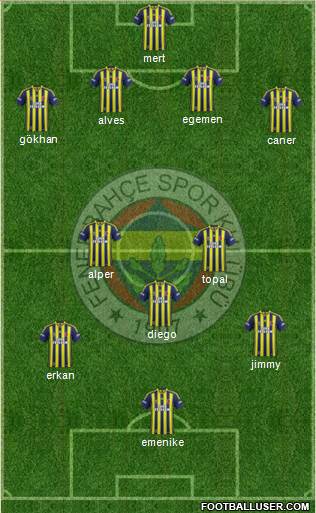 Fenerbahçe SK Formation 2014