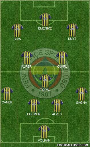 Fenerbahçe SK Formation 2014