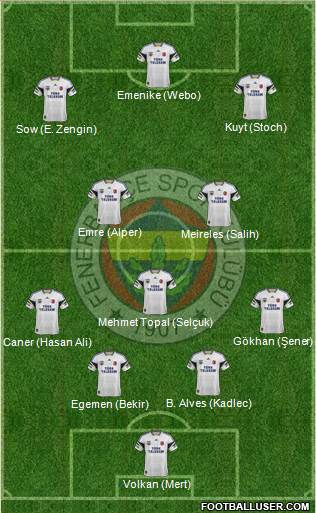 Fenerbahçe SK Formation 2014