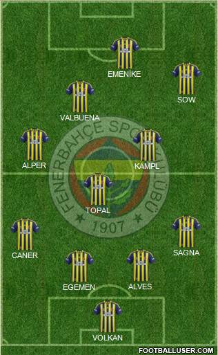 Fenerbahçe SK Formation 2014