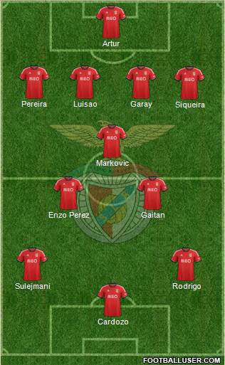 Sport Lisboa e Benfica - SAD Formation 2014