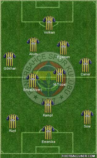 Fenerbahçe SK Formation 2014