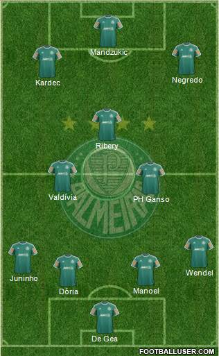 SE Palmeiras Formation 2014