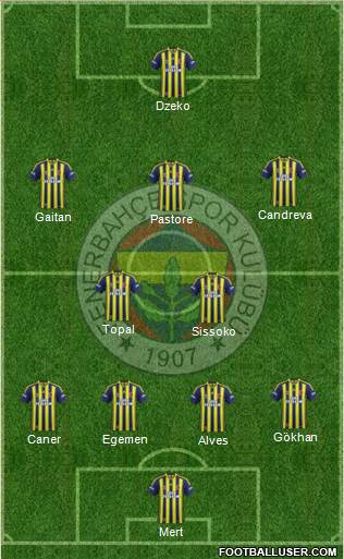 Fenerbahçe SK Formation 2014