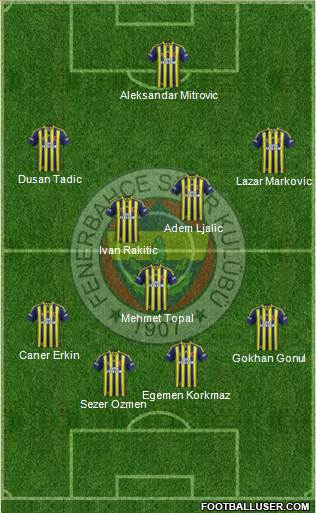 Fenerbahçe SK Formation 2014
