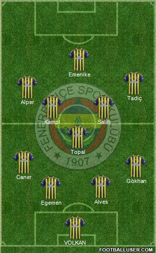 Fenerbahçe SK Formation 2014