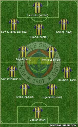Fenerbahçe SK Formation 2014
