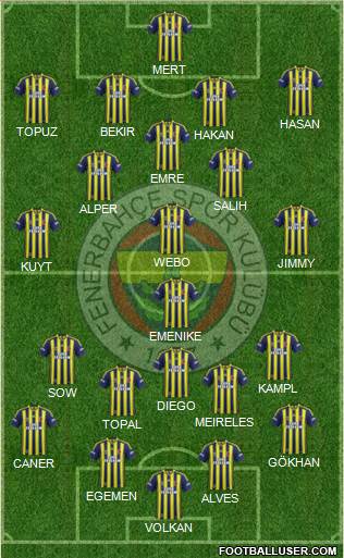 Fenerbahçe SK Formation 2014