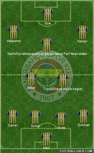 Fenerbahçe SK Formation 2014