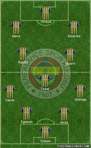 Fenerbahçe SK Formation 2014