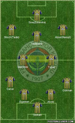 Fenerbahçe SK Formation 2014