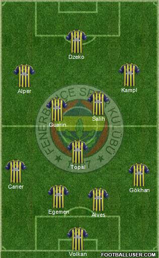 Fenerbahçe SK Formation 2014