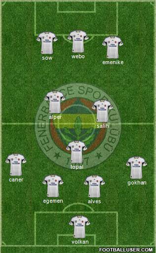 Fenerbahçe SK Formation 2014