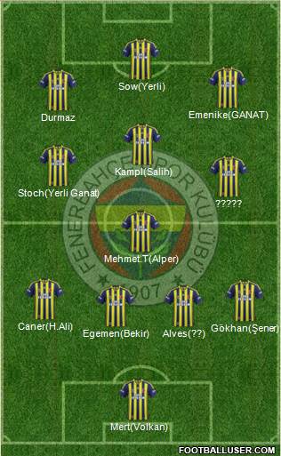 Fenerbahçe SK Formation 2014