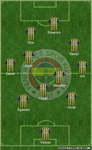 Fenerbahçe SK Formation 2014