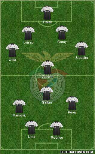 Sport Lisboa e Benfica - SAD Formation 2014