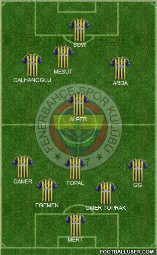 Fenerbahçe SK Formation 2014