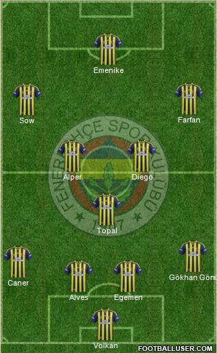 Fenerbahçe SK Formation 2014