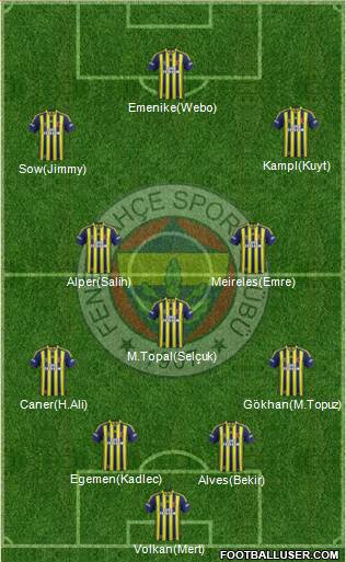 Fenerbahçe SK Formation 2014