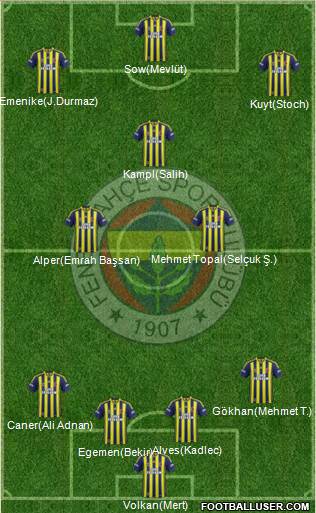 Fenerbahçe SK Formation 2014