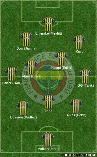 Fenerbahçe SK Formation 2014