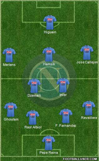 Napoli Formation 2014