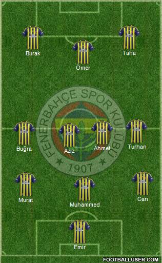 Fenerbahçe SK Formation 2014