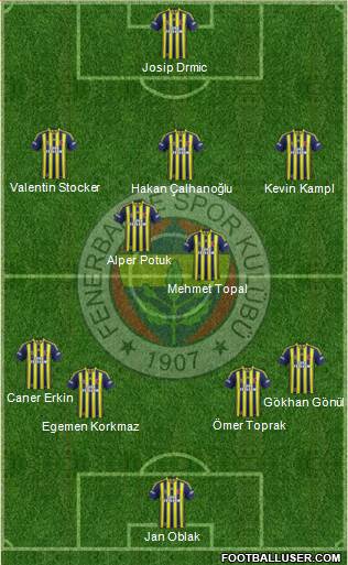 Fenerbahçe SK Formation 2014