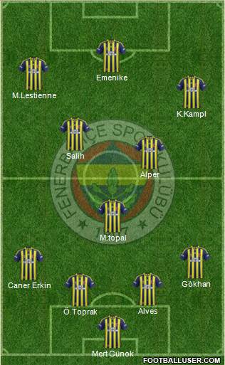 Fenerbahçe SK Formation 2014