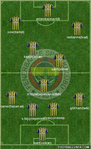 Fenerbahçe SK Formation 2014