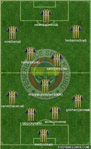 Fenerbahçe SK Formation 2014