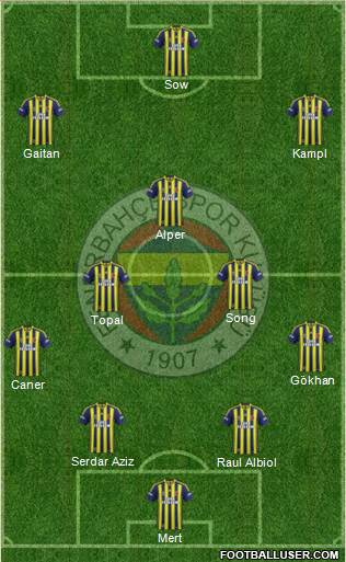 Fenerbahçe SK Formation 2014