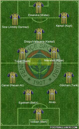 Fenerbahçe SK Formation 2014