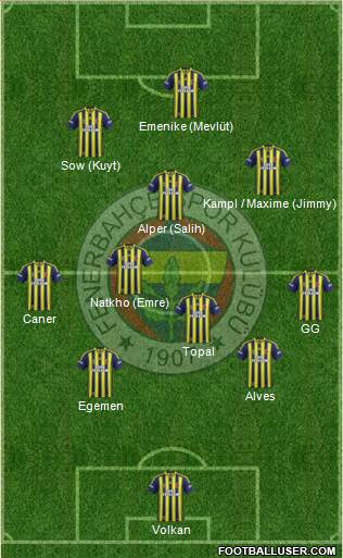 Fenerbahçe SK Formation 2014