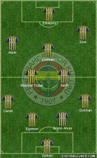 Fenerbahçe SK Formation 2014