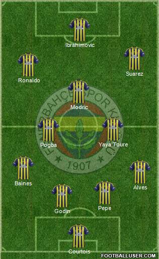 Fenerbahçe SK Formation 2014