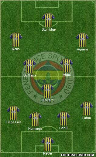 Fenerbahçe SK Formation 2014