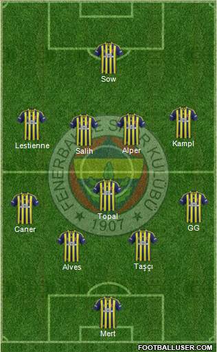 Fenerbahçe SK Formation 2014